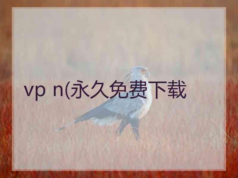 vp n(永久免费下载